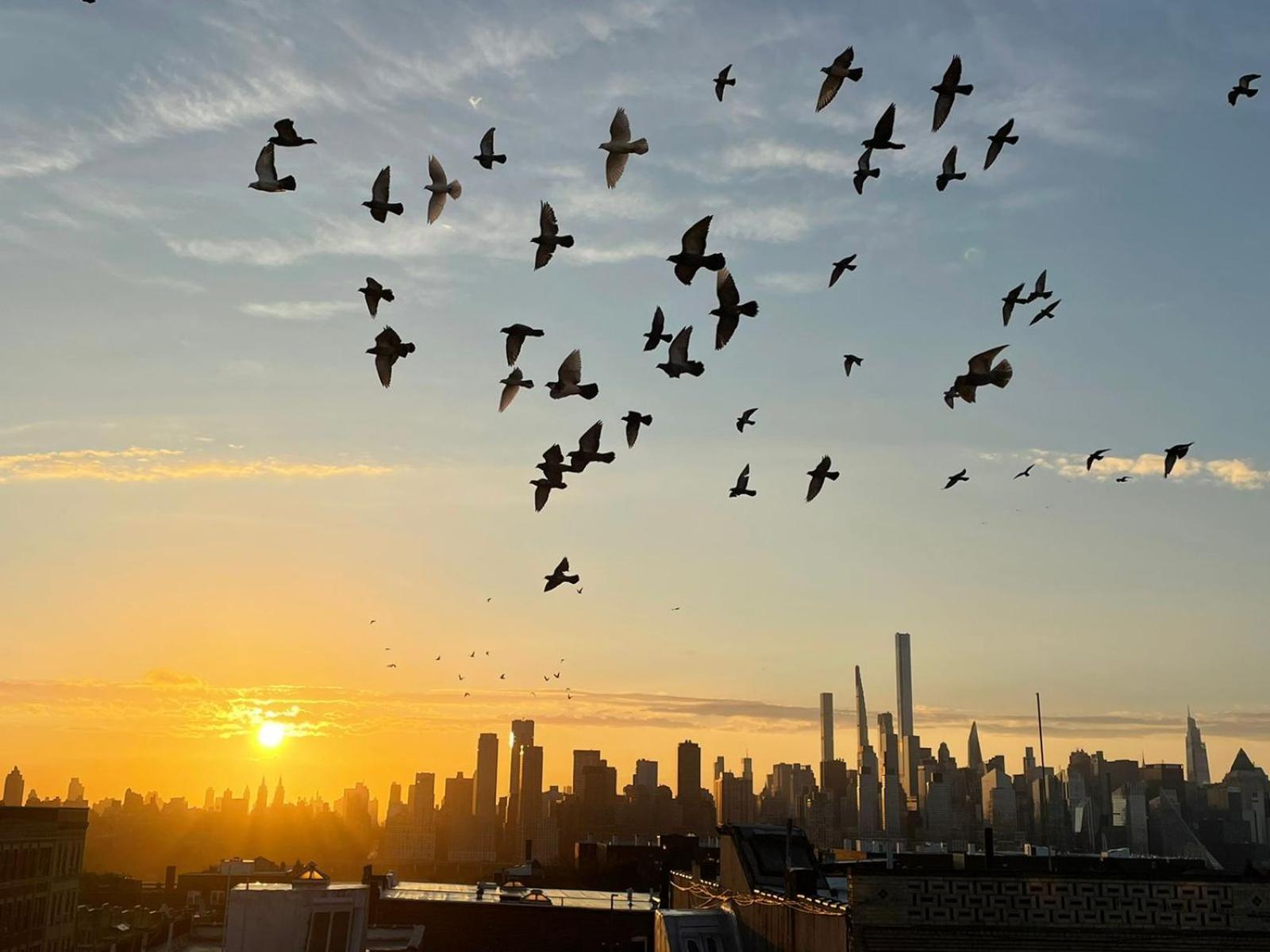 Apartament Ny Skyline One Of A Kind View Union City Zewnętrze zdjęcie
